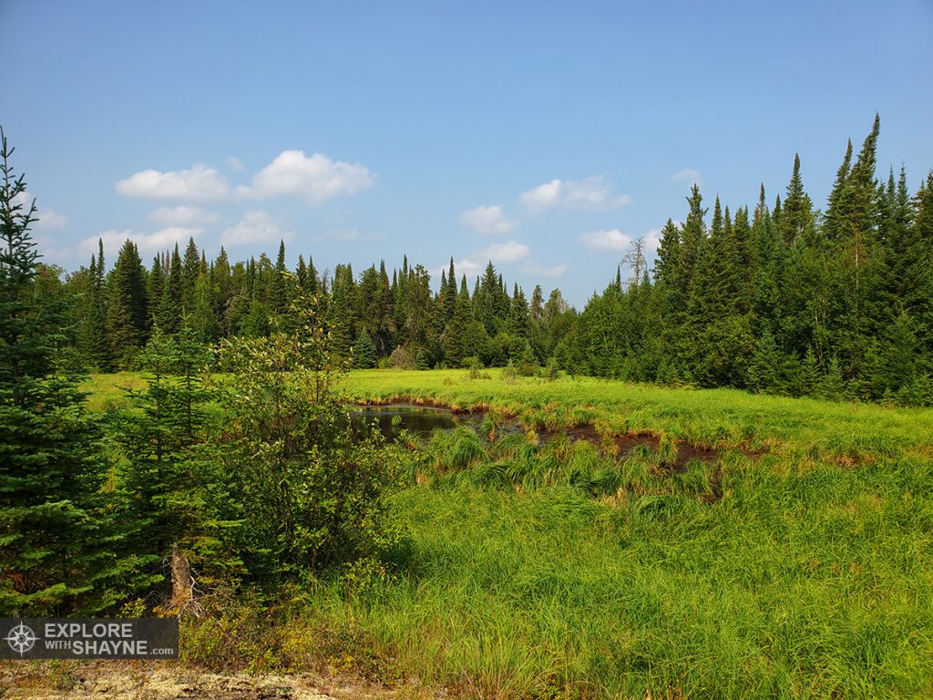 Pond Near the UFO Encounter Site