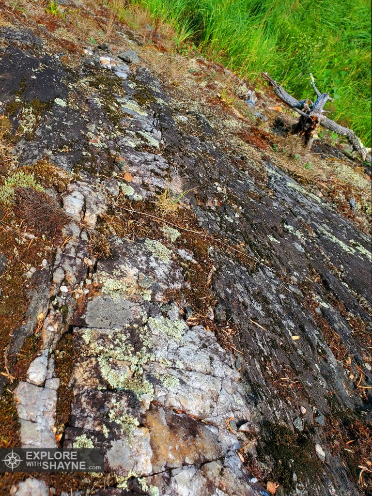 Vein of Quartz