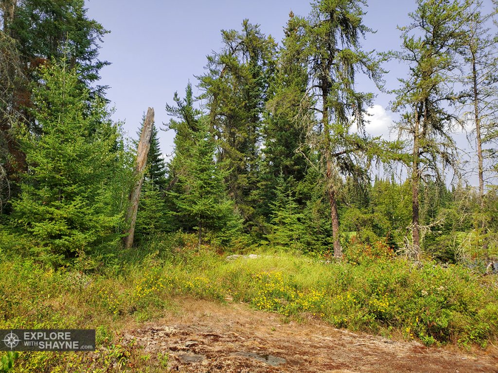 UFO Landing Site