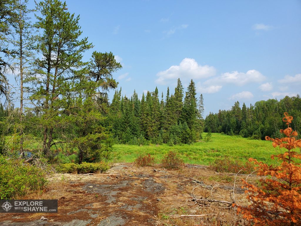 UFO Landing Site